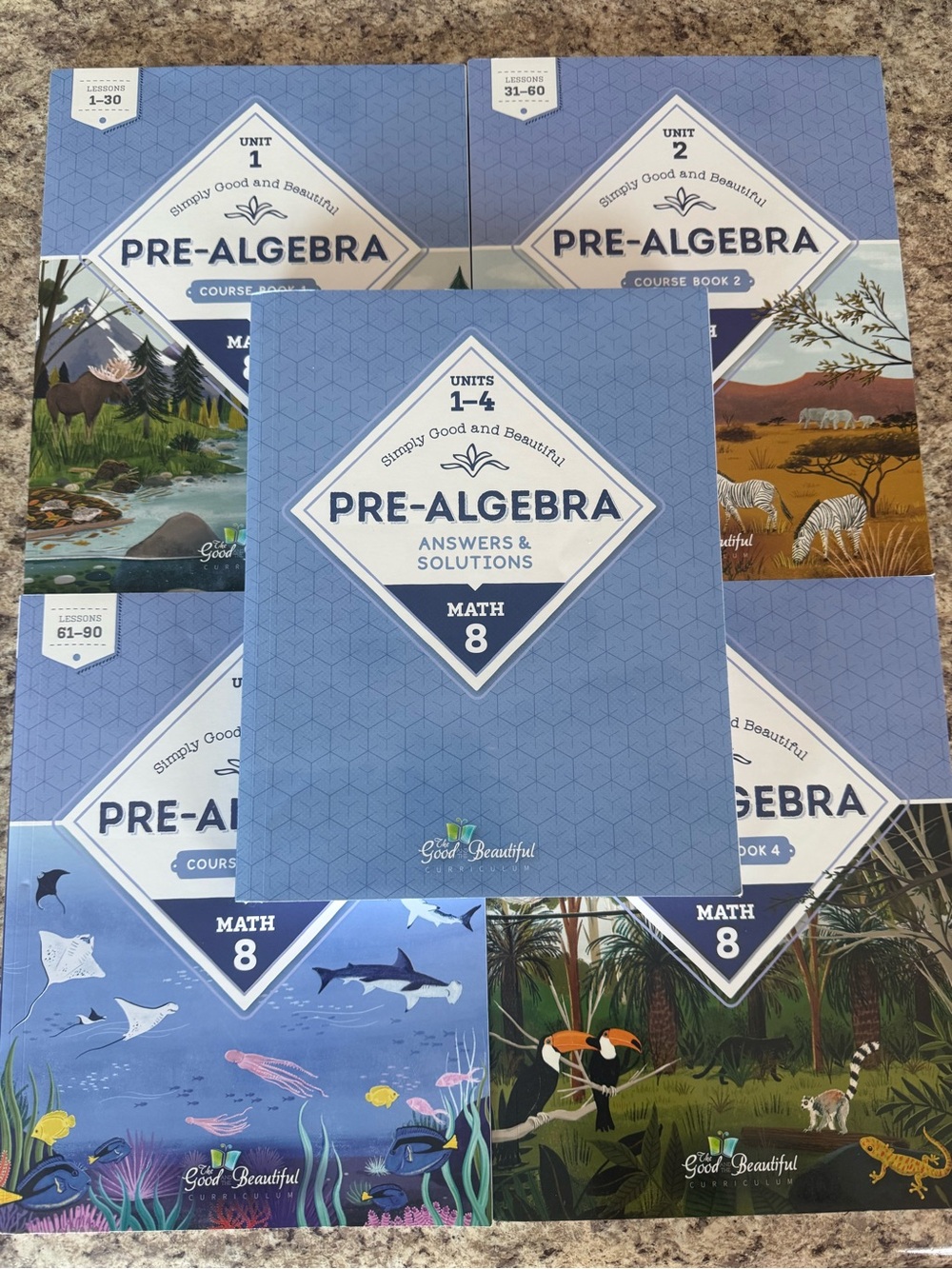The Good and the Beautiful Pre-Algebra Math 8 Full Set Homeschool